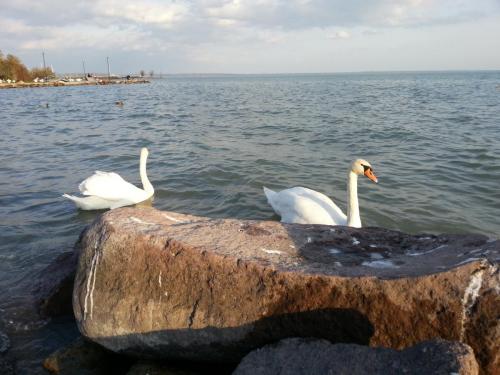 post-1217-0-02115400-1383034563_thumb.jp