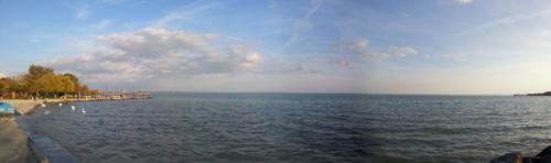 post-1217-0-39876600-1383034579_thumb.jp