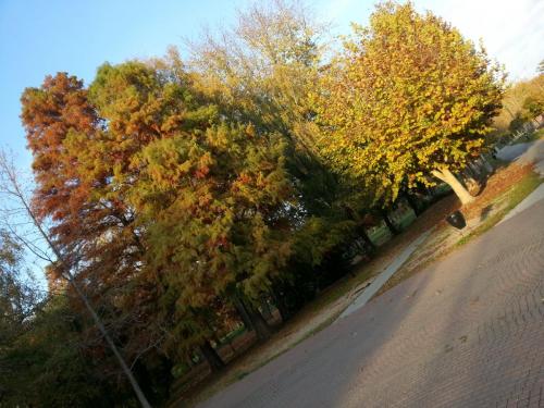 post-1217-0-41585700-1383034595_thumb.jp