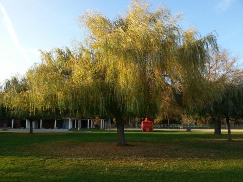 post-1217-0-82053800-1383034574_thumb.jp