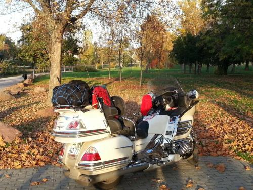 post-1217-0-98481600-1383035254_thumb.jp