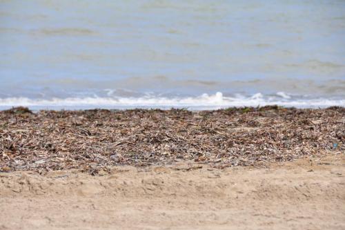 post-1276-0-21011300-1381066993_thumb.jp