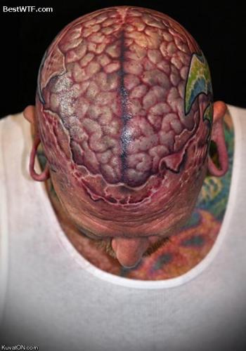 post-1869-0-92732900-1382946852_thumb.jp