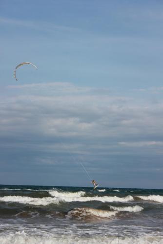 post-2274-0-73738100-1383166653_thumb.jp