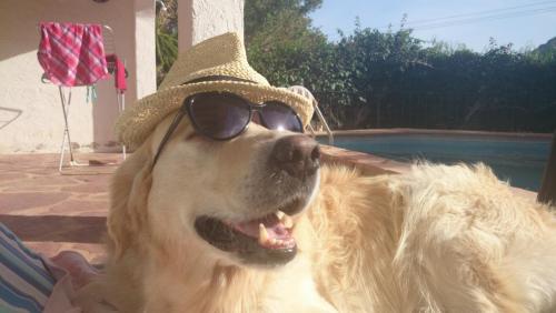 post-1092-0-46310200-1413904954_thumb.jp