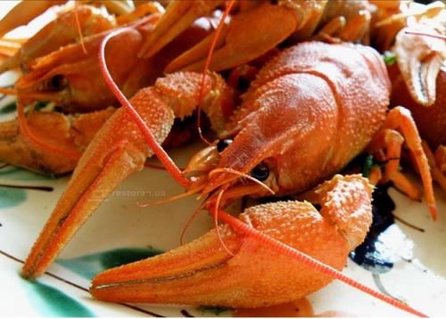 post-1217-0-81688500-1412184388_thumb.jp