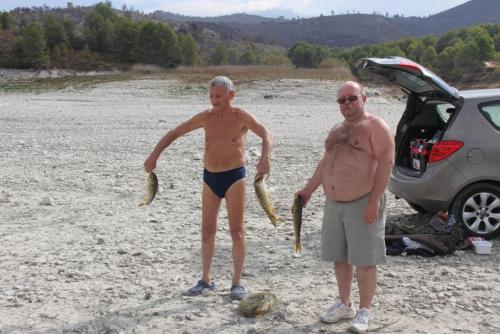 post-1921-0-34306700-1413285743_thumb.jp