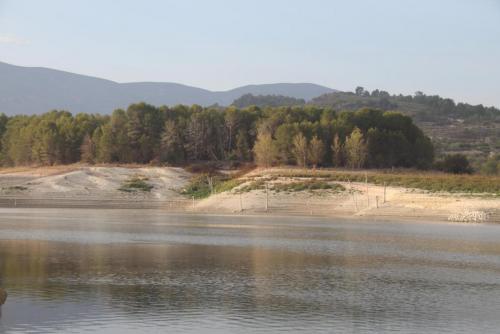 post-1921-0-46603800-1413285678_thumb.jp