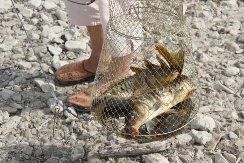 post-1921-0-64505500-1413285719_thumb.jp