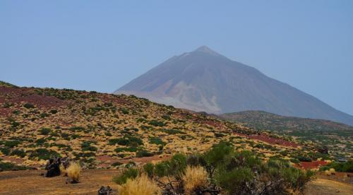 post-2315-0-03923700-1414687432_thumb.jp