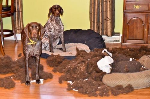 post-2490-0-52646600-1412188168_thumb.jp