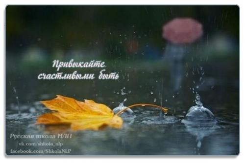 post-2490-0-82289800-1412192648_thumb.jp