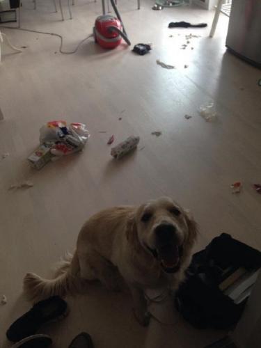 post-2490-0-82965000-1412188042_thumb.jp