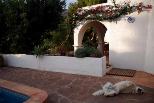 post-1092-0-72437700-1384280698_thumb.jp