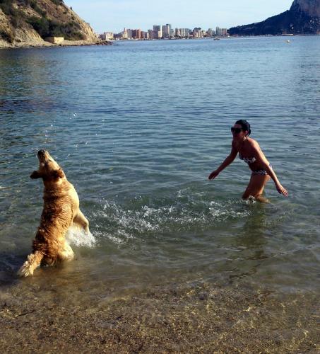 post-1092-0-73762000-1384101912_thumb.jp