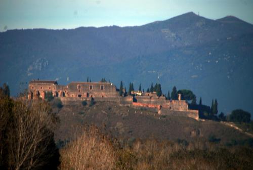 post-1092-0-78302500-1384694883_thumb.jp