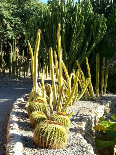 post-1217-0-38417400-1384244455_thumb.jp