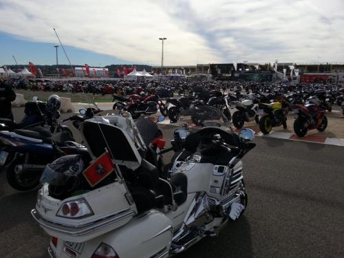 post-1217-0-63556400-1383946093_thumb.jp