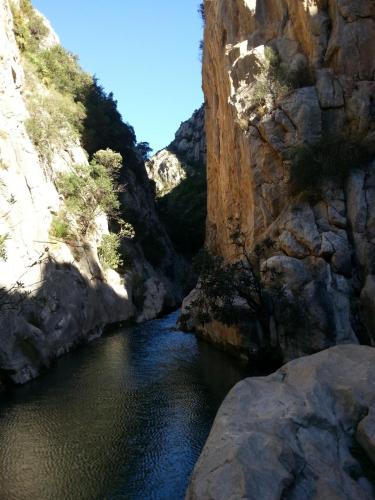 post-1217-0-76983900-1384202700_thumb.jp