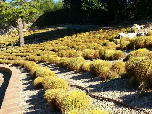 post-1217-0-84129200-1384244584_thumb.jp