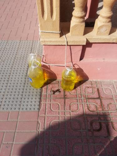 post-2422-0-23583300-1383426034_thumb.jp