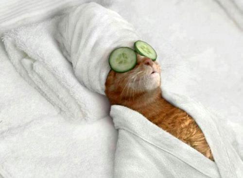 post-1152-0-60204000-1415975280_thumb.jp