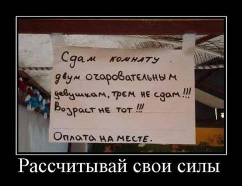 post-1217-0-35313500-1415484865_thumb.jp