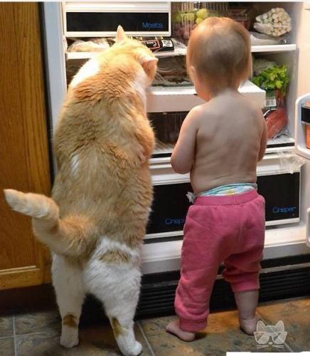 post-1217-0-91101600-1415135570_thumb.jp