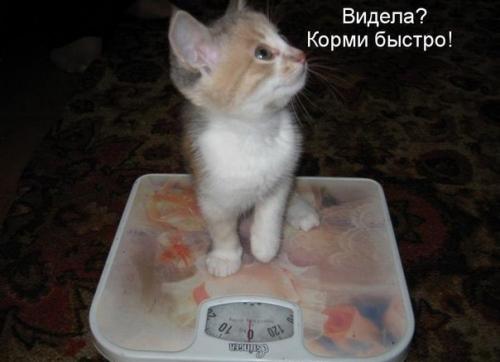 post-2490-0-77708000-1416065914_thumb.jp