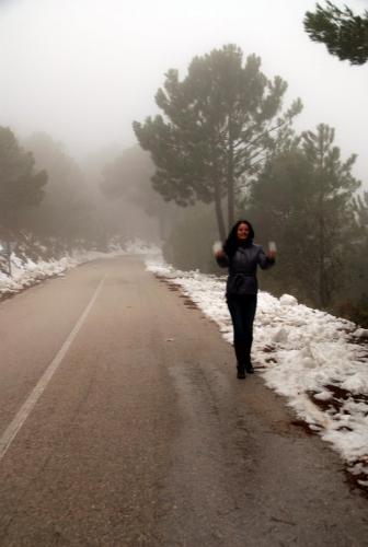 post-1092-0-34896500-1386347192_thumb.jp