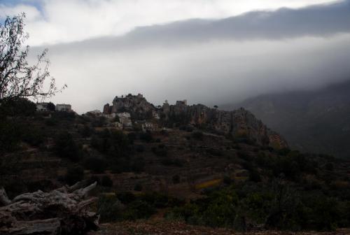 post-1092-0-78256300-1386347961_thumb.jp