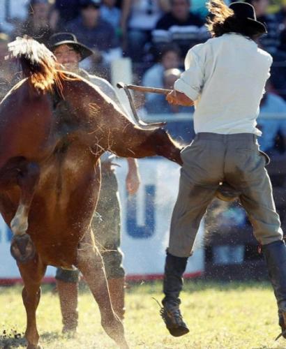 post-1217-0-63004100-1386008060_thumb.jp