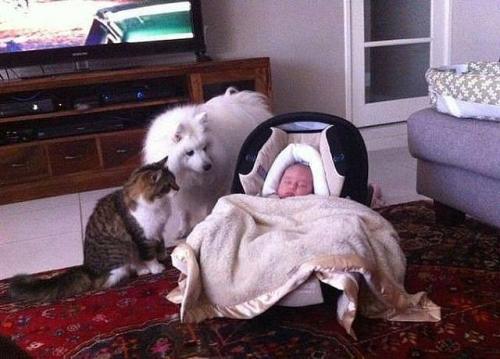 post-2490-0-86962200-1386523680_thumb.jp