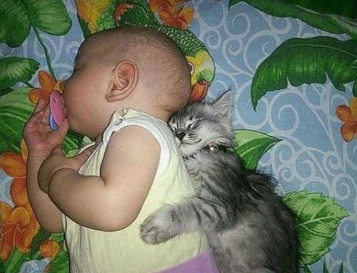 post-1217-0-57473200-1419788003_thumb.jp