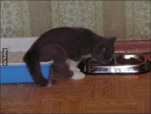 post-1921-0-20976200-1417598770_thumb.jp