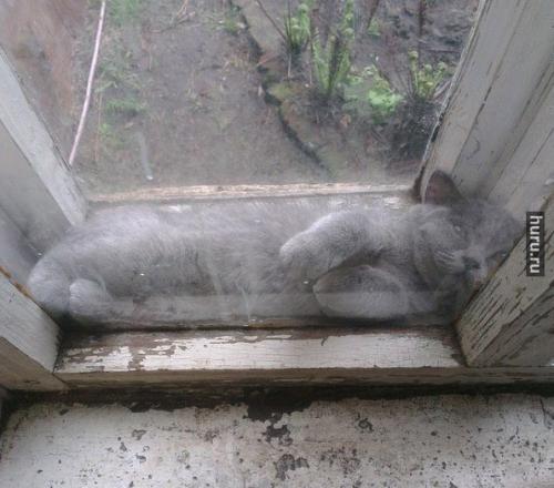 post-1921-0-70250600-1417598793_thumb.jp