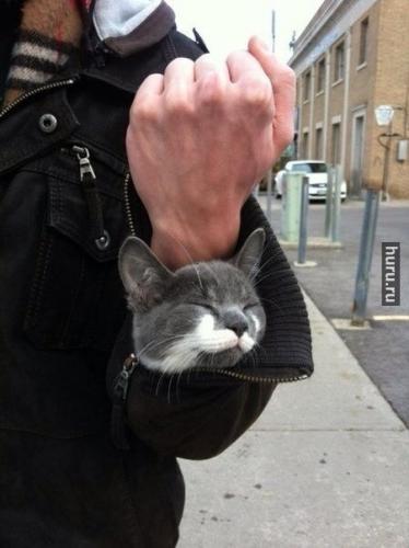 post-1921-0-94241000-1417598828_thumb.jp